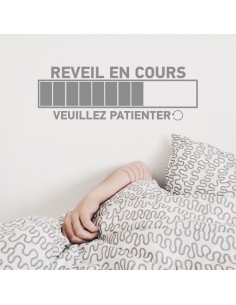 Reveil en cours veuillez patienter