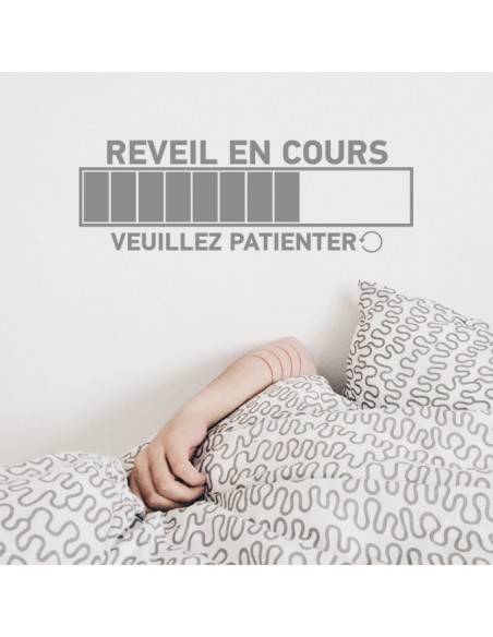 Reveil en cours veuillez patienter