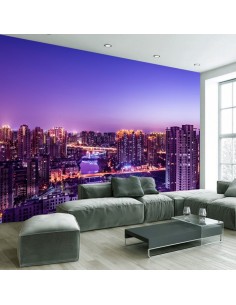Décoration fresque murale ville la nuit 2