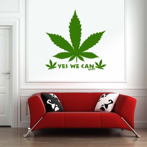 Cannabis