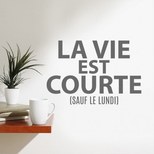 Stickers la vie est courte 