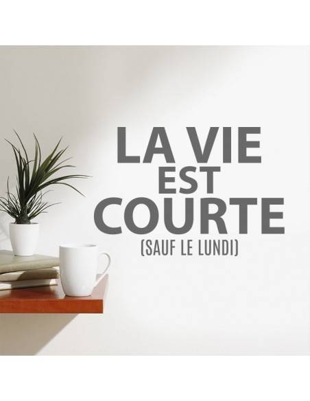 Stickers la vie est courte 
