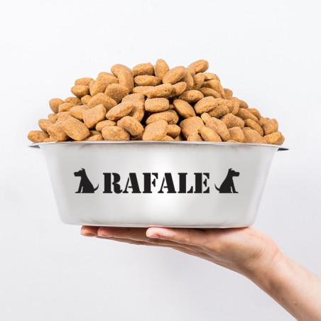 Sticker gamelle chien