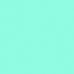 Feuille vinyle adhésif Menthe 2