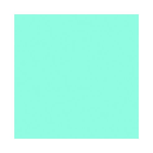 Feuille vinyle adhésif Menthe