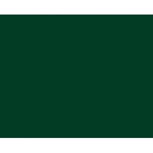 Flex PS Vert Foncé 2