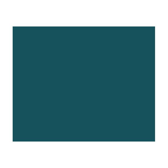 Flex PS Bleu Turquoise