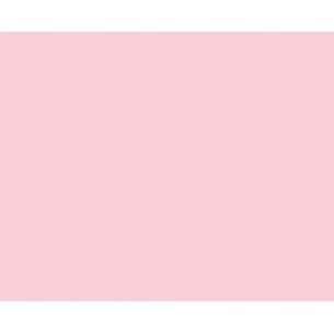 Flex PS Rose clair 2
