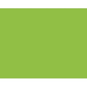 Flex PS Vert Pomme 2