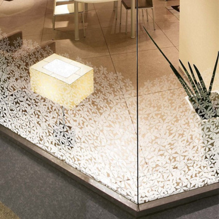 Film dépoli design fleurs