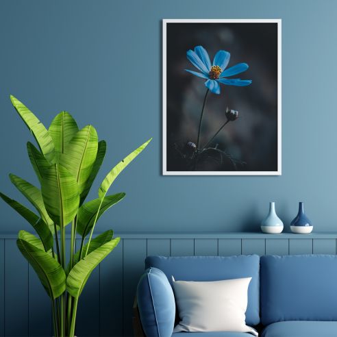 Fleur bleue poster