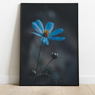Fleur bleue poster 2