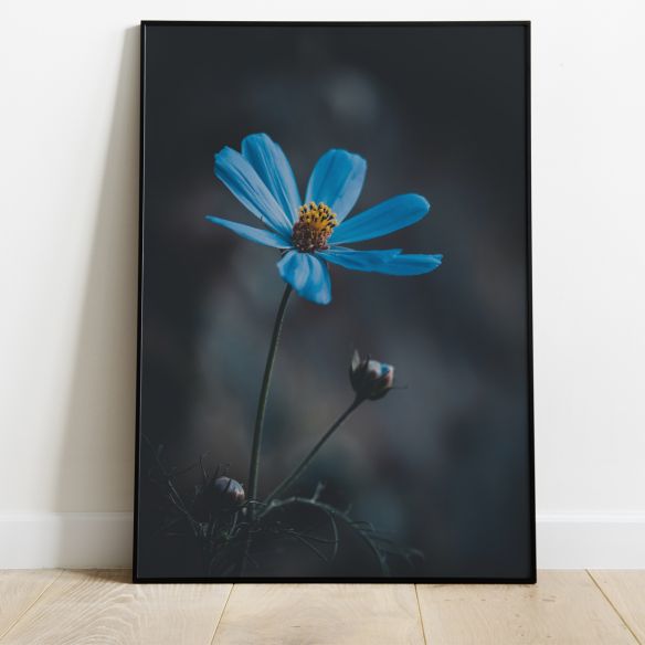Fleur bleue poster