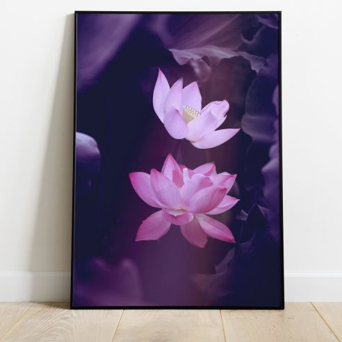 Fleurs de lotus poster