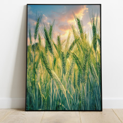 Champs de blés poster