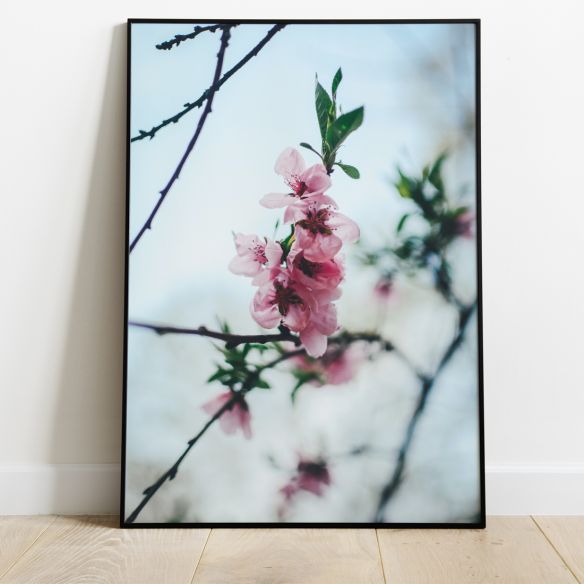 Fleurs roses poster