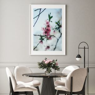 Fleurs roses poster