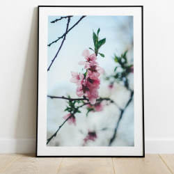 Fleurs roses poster
