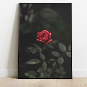 Rose avec tige poster 2