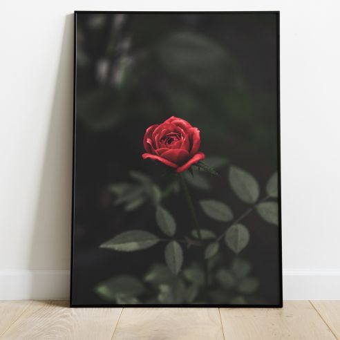 Rose avec tige poster