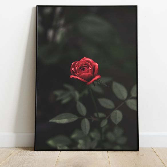 Rose avec tige poster