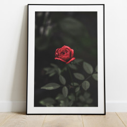 Rose avec tige poster