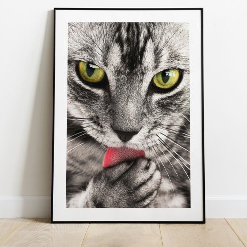Poster toilette de chat. Poster portrait de chat. Décoration maison
