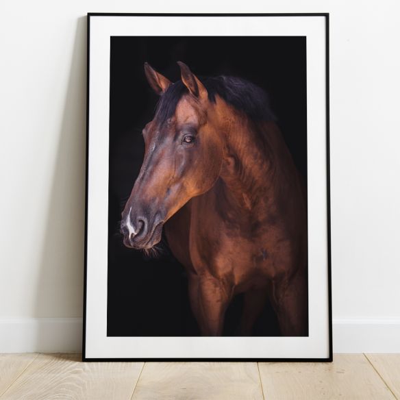 Poster Cheval Equitation Posters Decoration Murale Animaux