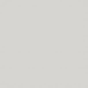 Adhésif Vinyle Gris Clair Mat