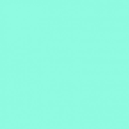 AdhésifVinyle Menthe Mat