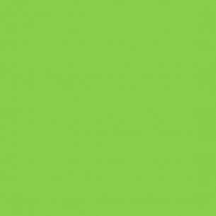 Adhésif Vinyle Vert Tilleul Mat