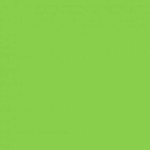 Adhésif Vinyle Vert Tilleul Mat