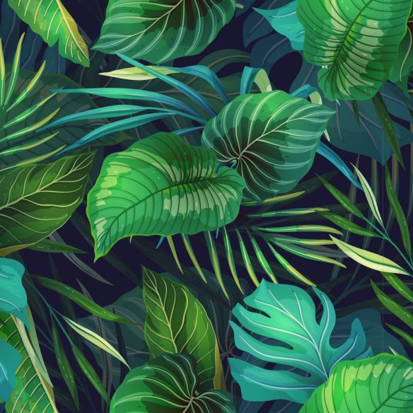 Crédence adhésive jungle