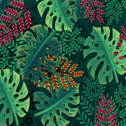 Crédence adhésive monstera