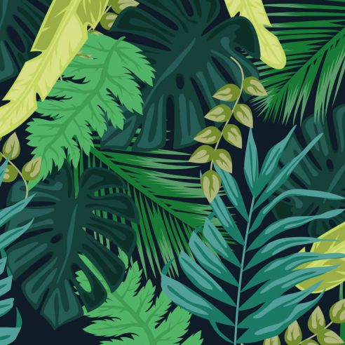 Crédence feuillage jungle