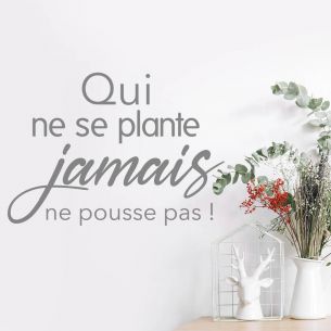 Sticker qui ne se plante jamais ne pousse pas
