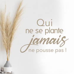 Sticker qui ne se plante jamais ne pousse pas