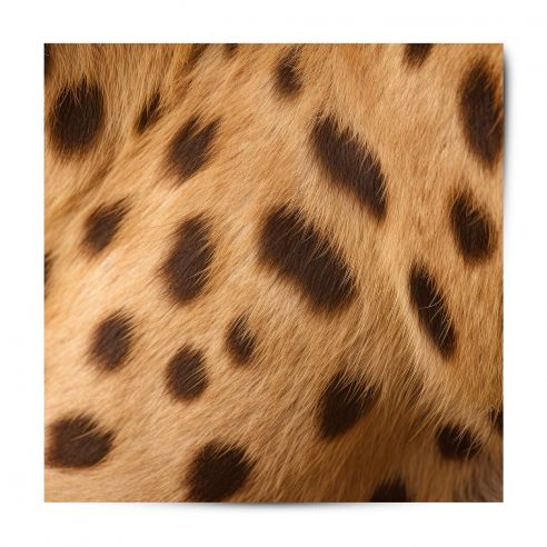 Vinyle adhésif patterns effet fourrure léopard 