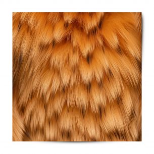 Vinyle adhésif patterns fourrure