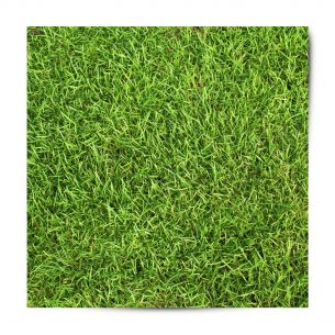 Vinyle adhésif patterns herbe épaisse