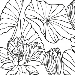 Film adhésif feuillage noir et blanc