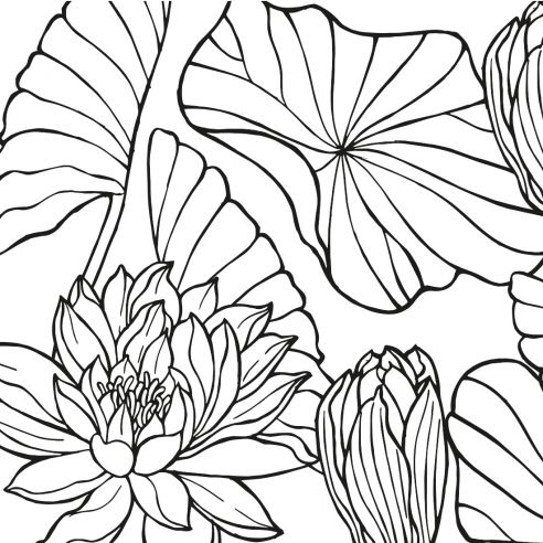 Film adhésif feuillage noir et blanc