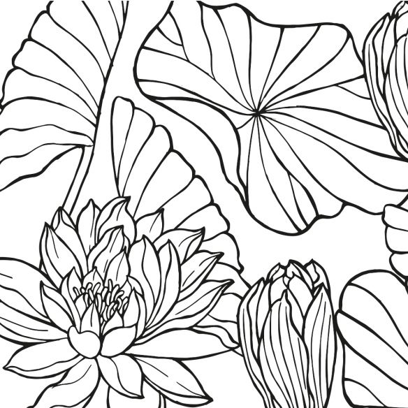 Film adhésif feuillage noir et blanc