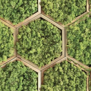 Crédence adhésive imitation mur végétal 2