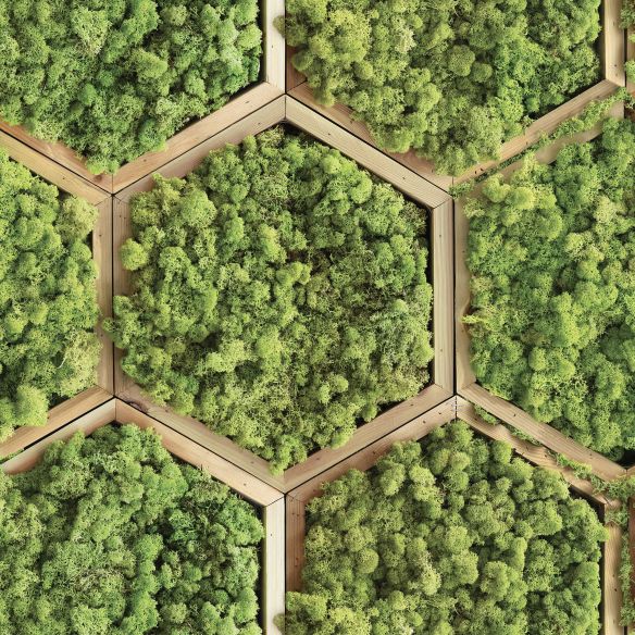 Crédence adhésive imitation mur végétal