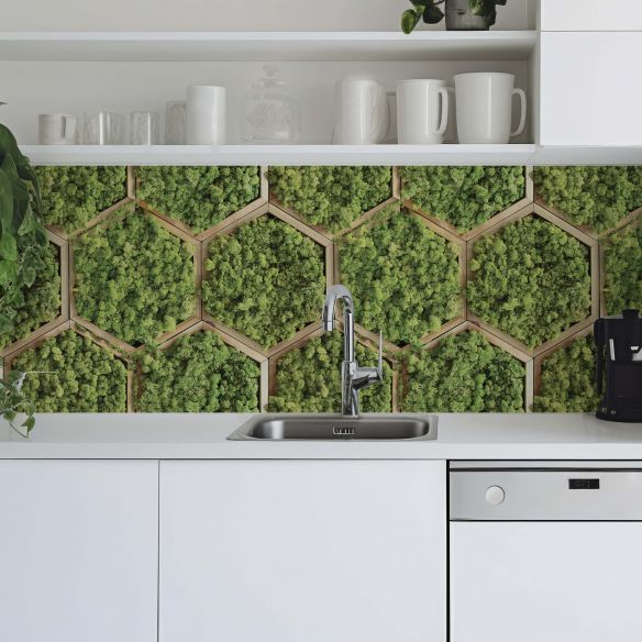 Crédence adhésive imitation mur végétal