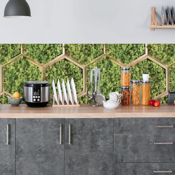 Crédence adhésive imitation mur végétal