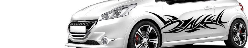 Stickers voiture